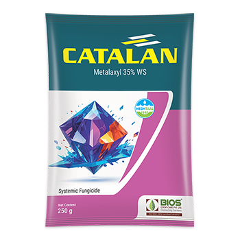 Catalan