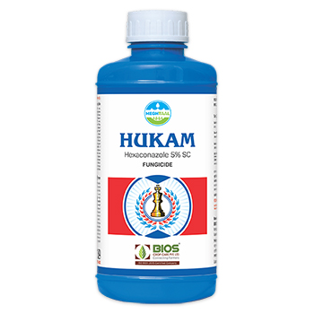 Hukum