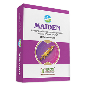 Maiden