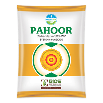 Pahoor