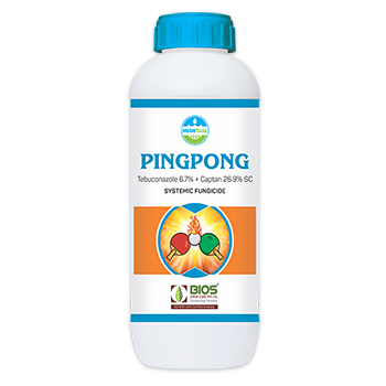 Pingpong