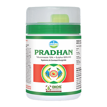 Pradhan