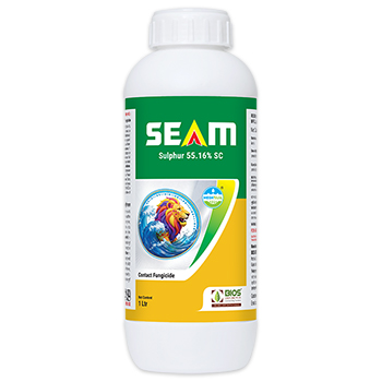 Seam