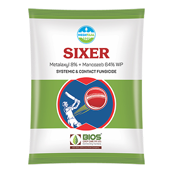Sixer
