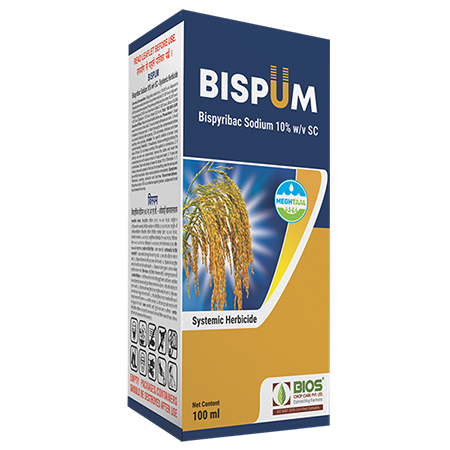 Bispum