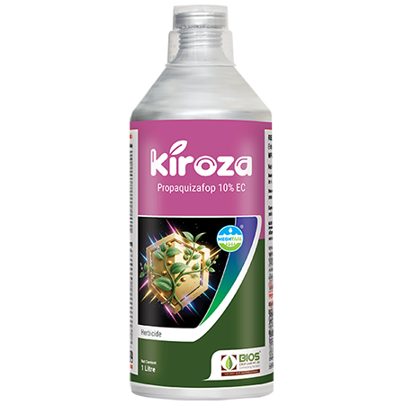 Kiroza