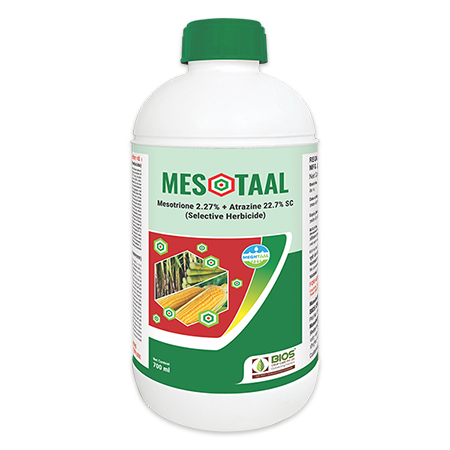 Mesotaal