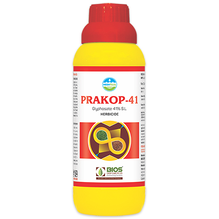 Prakop 41