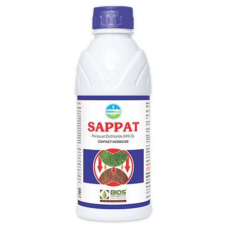 Sappat