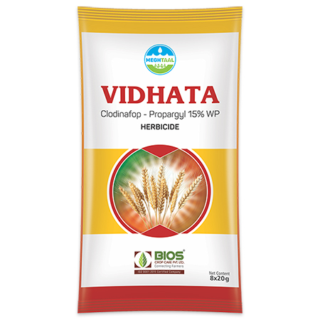 Vidhata