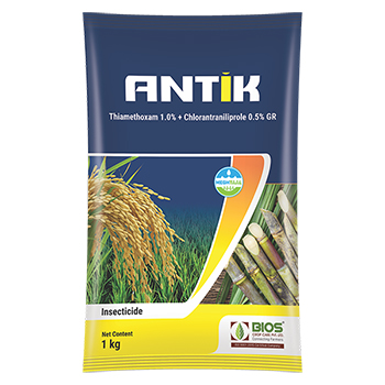 Antik