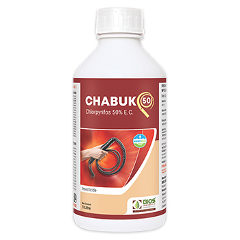 Chabuk