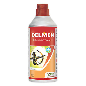 Delmen