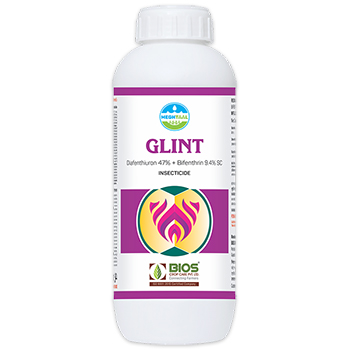 Glint