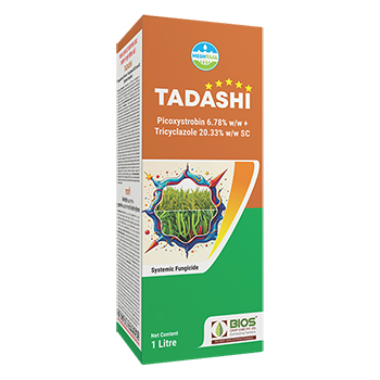Tadashi