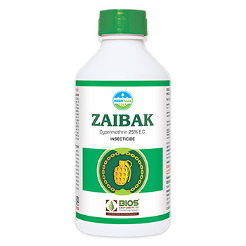 Zaibak