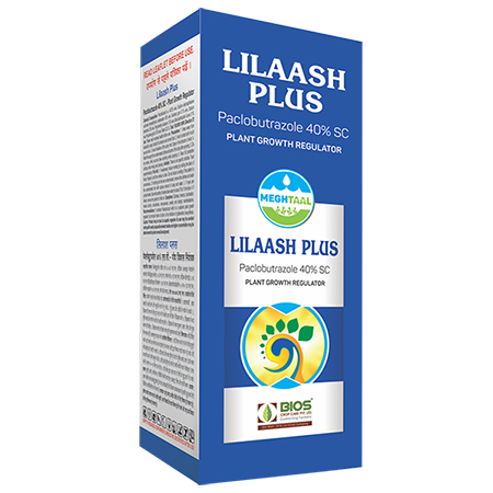 Lilash Plus