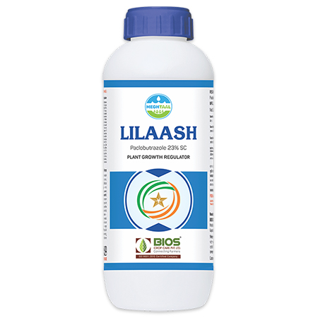 Lilaash