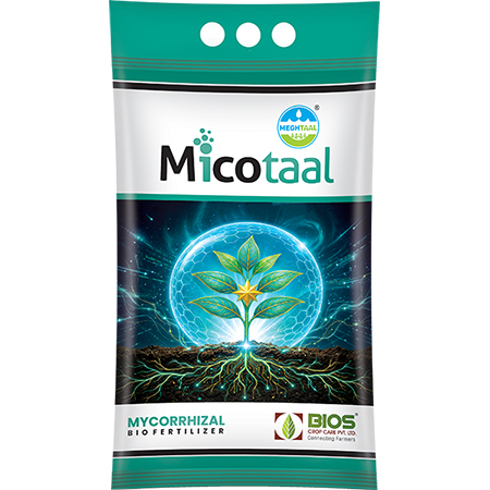 Rhizotaal
