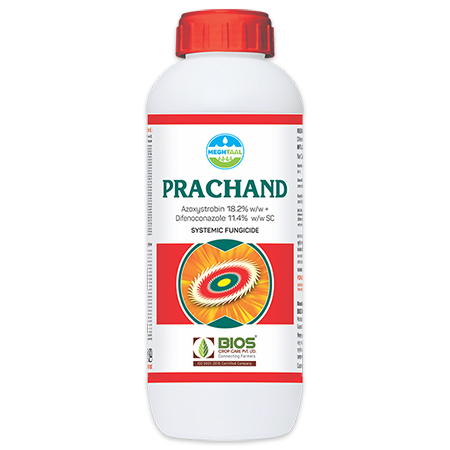 Prachand